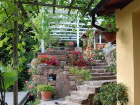 Гостиница Am Berggarten  Гейдельберг